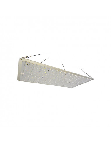 Slim Sun Quantum Board | 200W | Helios Corporate