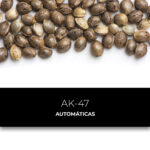 AK-47 | Automáticas