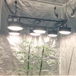 Second Sun SMD | 600W | Kit 6 SMD | Helios Corporate - Imagen 5