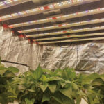 Sun Bars Pro | 700W | Helios Corporate - Imagen 7