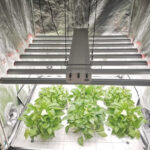 Sun Bars Pro | 700W | Helios Corporate - Imagen 8